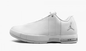 Nike Air Jordan TE 2 Low Miesten Kengät Valkoinen Platina | 109VENGUB