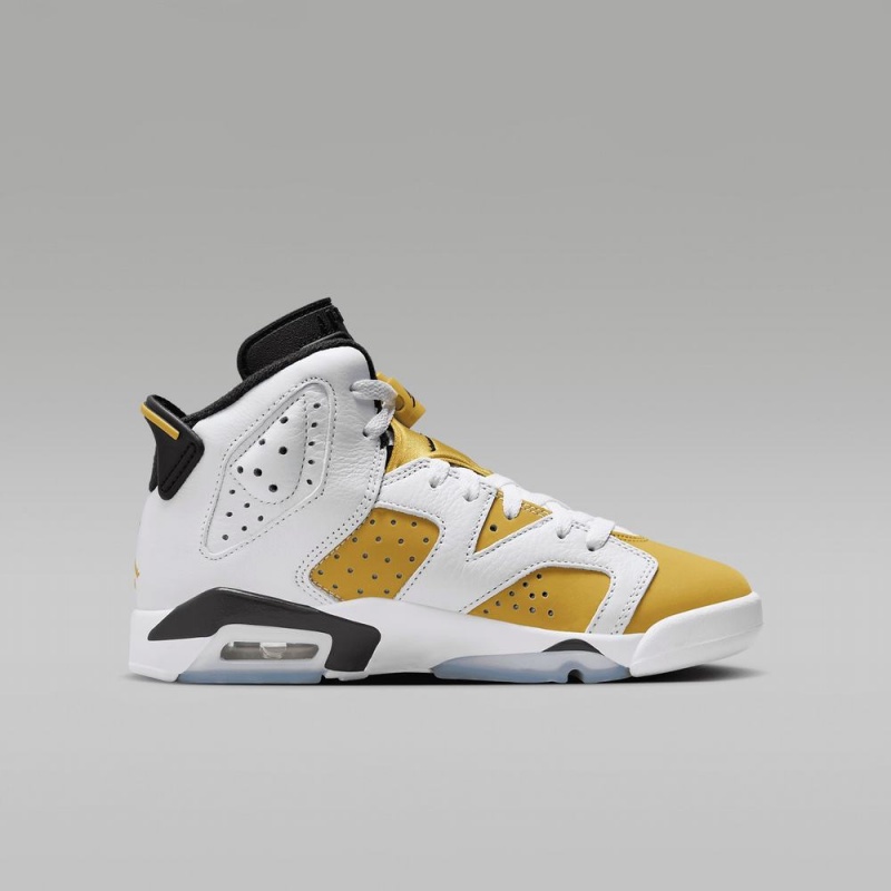 Nike Air Jordan 6 Retro 