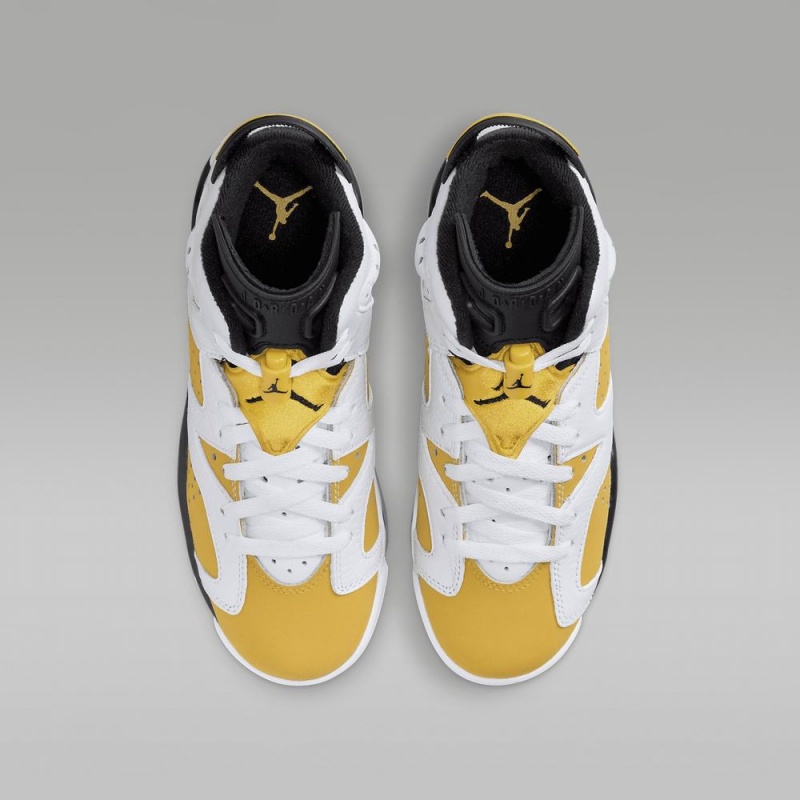 Nike Air Jordan 6 Retro 