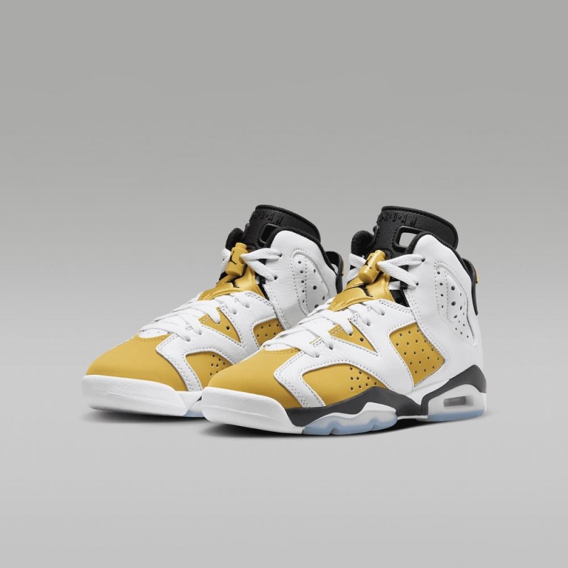 Nike Air Jordan 6 Retro 