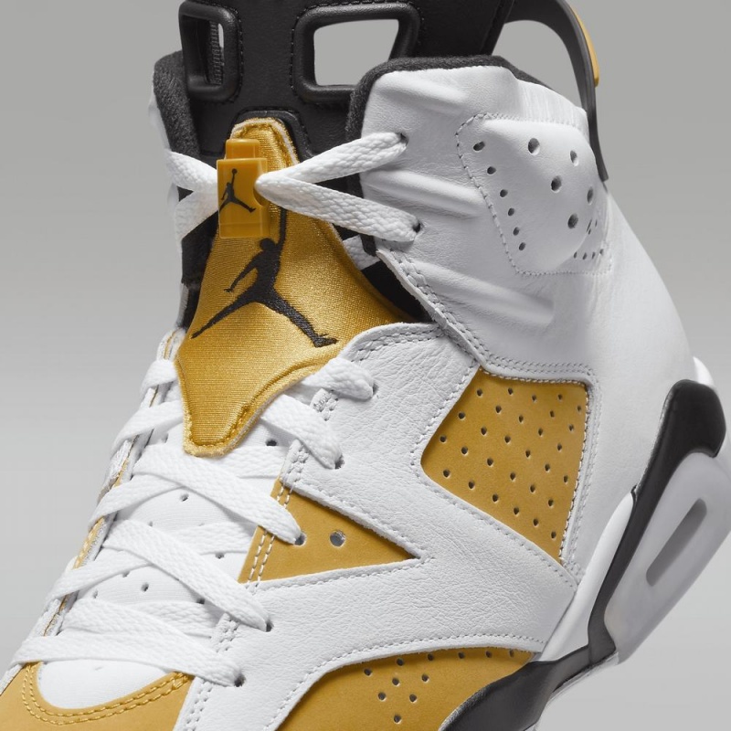 Nike Air Jordan 6 Retro 
