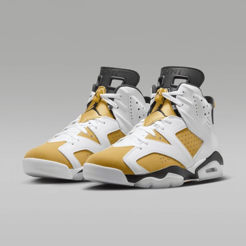 Nike Air Jordan 6 Retro 