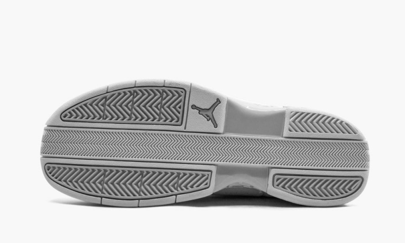 Nike Air Jordan TE 2 Low Miesten Kengät Valkoinen Platina | 109VENGUB