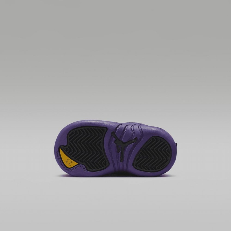 Nike Jordan 12 Retro Lasten Kengät Mustat Violetit | 685RCEVGH